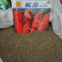 红秀九寸参胡萝卜种子早熟耐热橙红色胡萝卜种子高产抗寒
