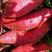 云南西瓜红薯产地一手货源，量大货品充足，对接全国各大市场
