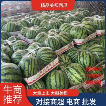 【优质】大棚美都大量上市，诚信代发全国各地和商超负责找车