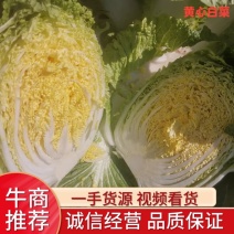 张北玲珑黄白菜，产地直发，基地直供，大量有货