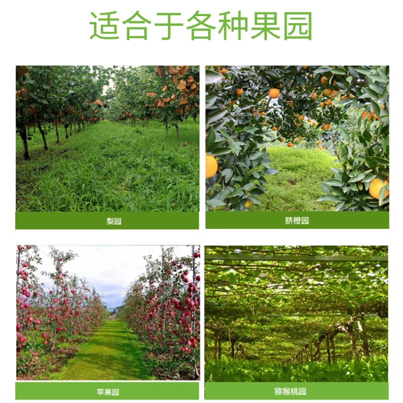 柴油水冷动力果树打药机风送式洒药机乘坐式植保打药机
