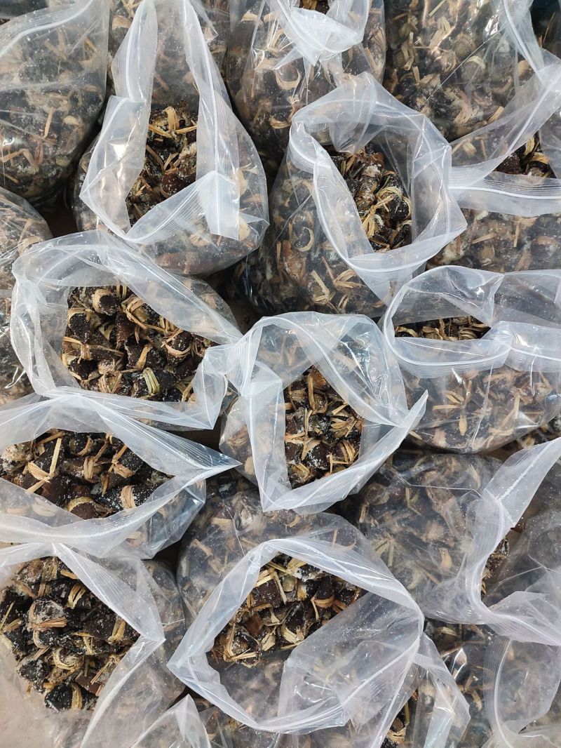 批发散新会三宝扎茶叶批发陈皮咸橄榄特产三宝茶年货茶三宝榄