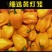黄灯笼辣椒酱500g/700g可选海南特产剁椒三亚酱蒜蓉