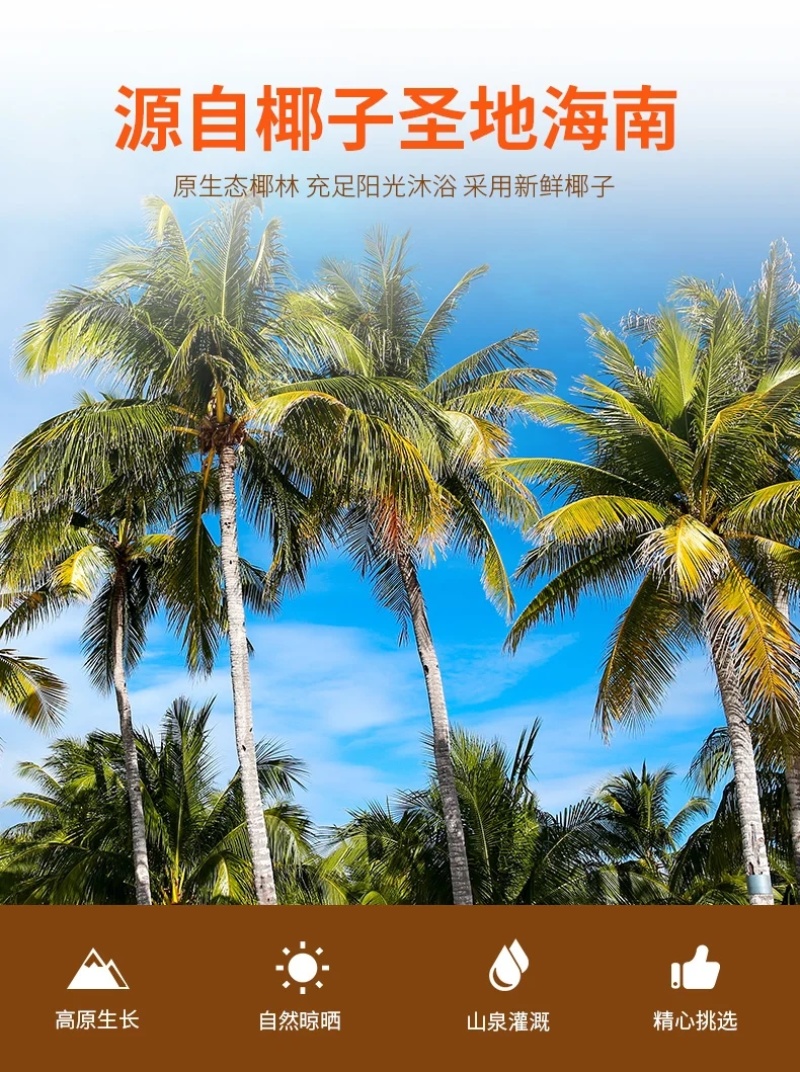 椰子片海南特产零食香碳烤脆片干肉新鲜果干小吃休闲108g