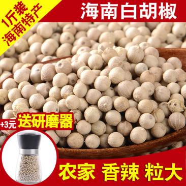 海南白胡椒粒250g/500g特产纯胡椒粉新货调料农家煲