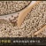 海南白胡椒粒250g/500g特产纯胡椒粉新货调料农家煲