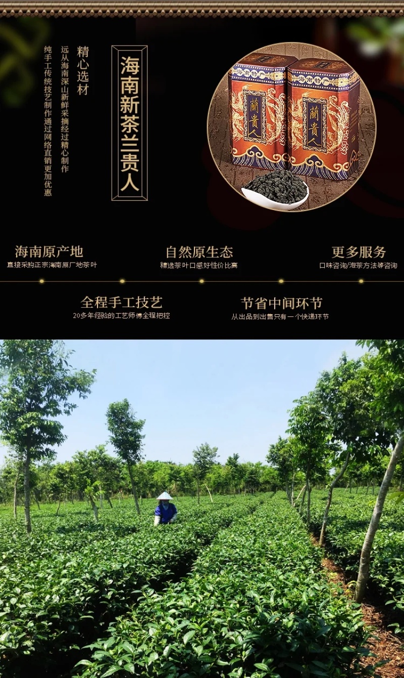 海南兰贵人茶五指山浓香乌龙茶送礼佳品散礼盒装新货特产工厂