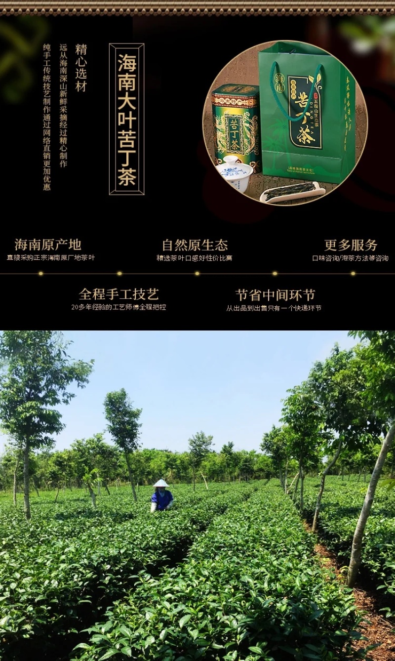 海南五指山大叶苦丁茶125g礼盒装罐装特产新茶好喝工厂直