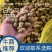 鲜果花生，中花系列，产地直销。电商超市优选