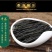 墨绿苦丁茶海南特产五指山大叶新茶100g和250g茶叶好
