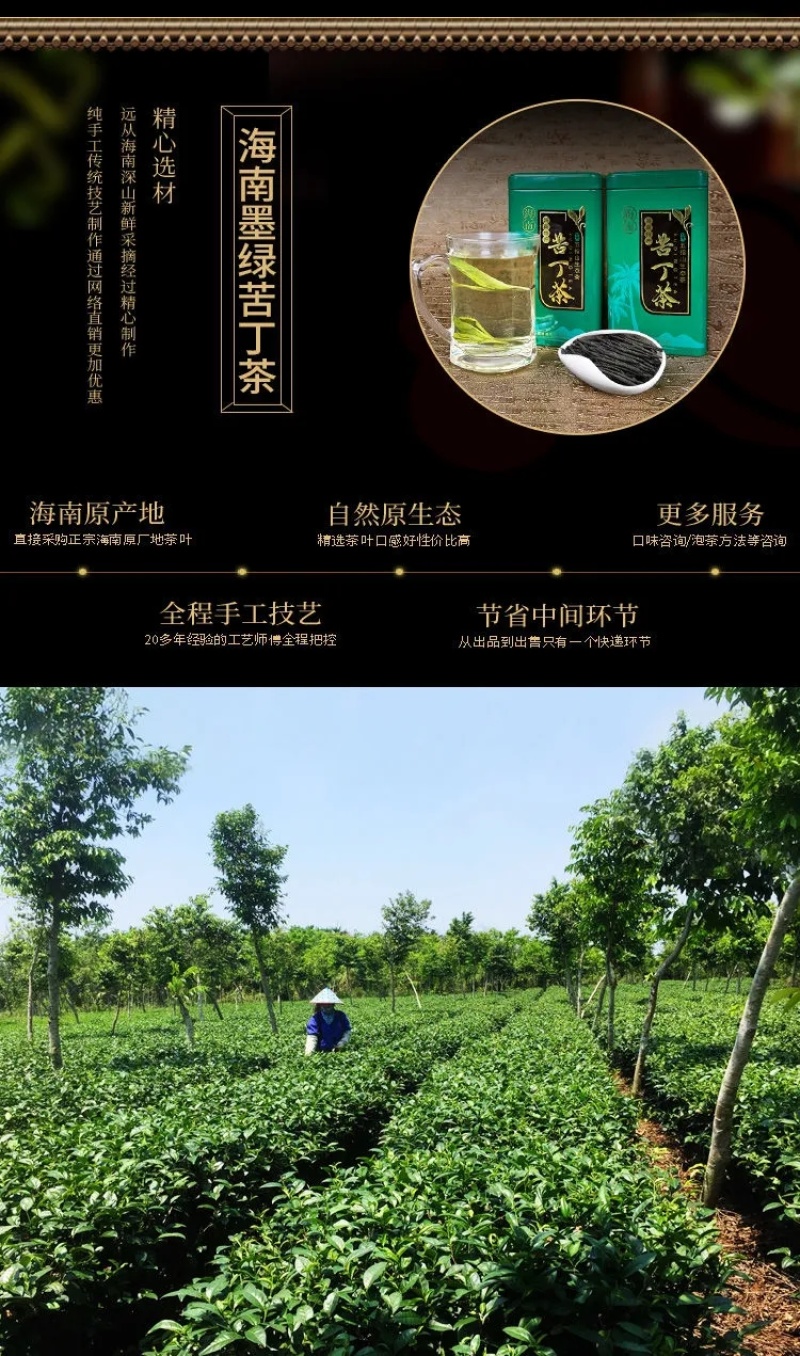 墨绿苦丁茶海南特产五指山大叶新茶100g和250g茶叶好