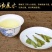 墨绿苦丁茶海南特产五指山大叶新茶100g和250g茶叶好