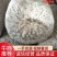 阜阳市太和县坟台镇无公害食用菌种植平菇菌棒生产销售