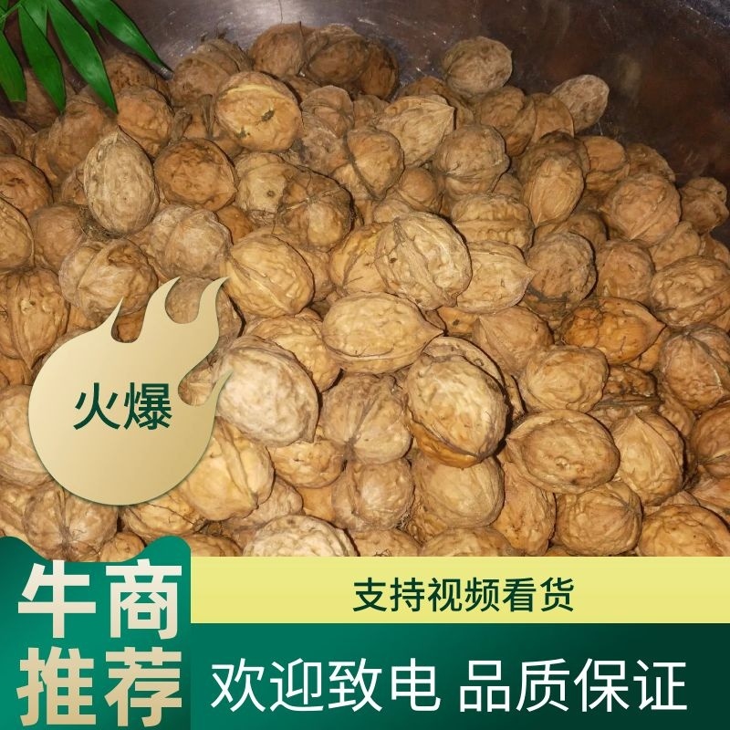 云南纸皮核桃鲜核桃，青皮核桃，支持一件代发
