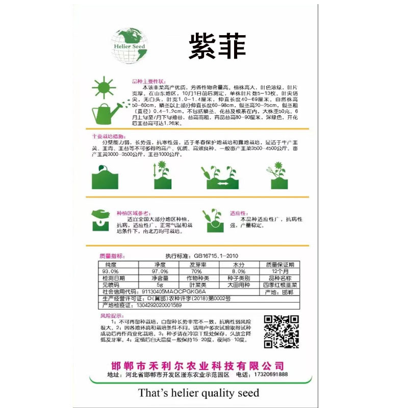 紫油菜种子紫美早熟抗病强鸡毛菜四季小白菜基地专用