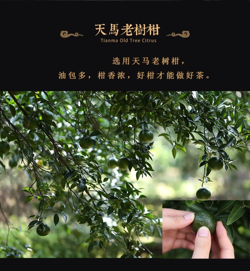 天马小青柑茶普洱梅江柑普茶茶叶批发小青柑新会陈皮大红柑