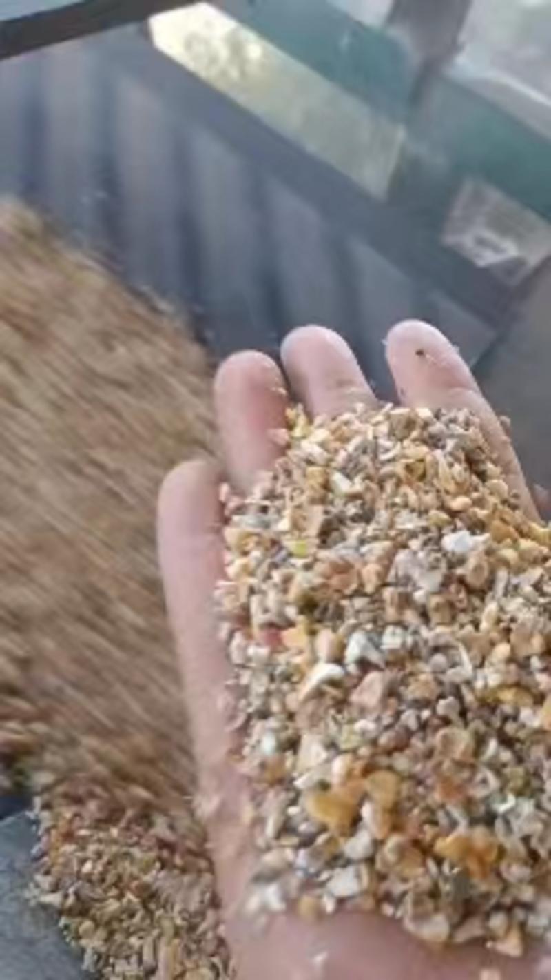 玉米毛糠碎玉米价格优惠基地直发养殖专用欢迎联系