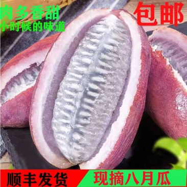 一件大发八月瓜八月炸新鲜水果八月瓜现货代发