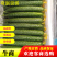 聊城莘县黄瓜，大量供应，电商批发，货源充足