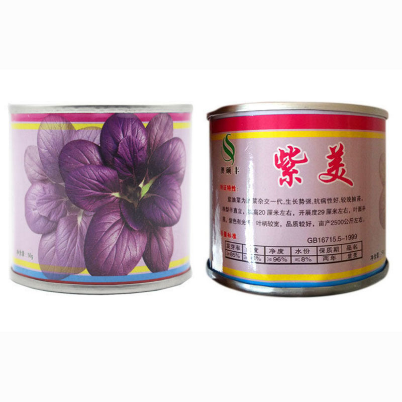紫油菜种子紫美早熟抗病强鸡毛菜四季小白菜基地专用