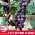 【葡萄】河北巨峰葡萄现摘现发可视频看货坏烂包赔