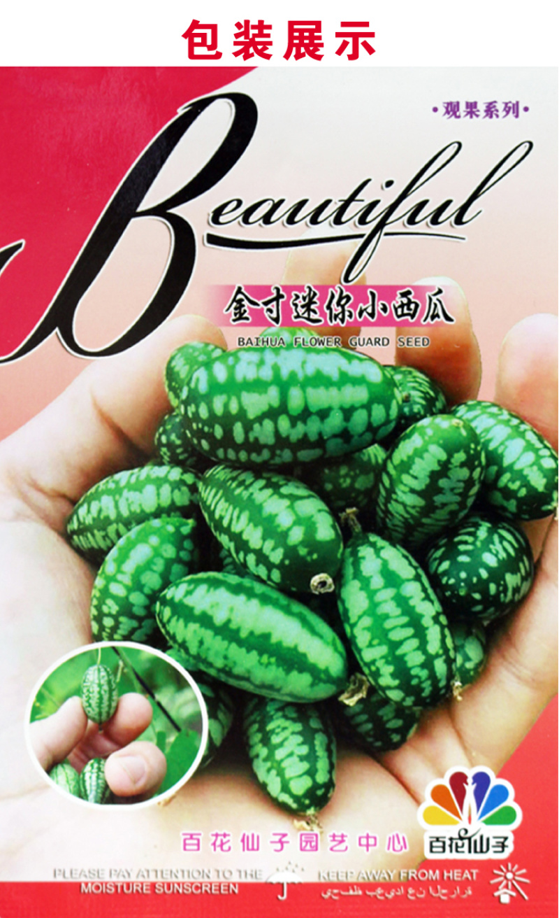 拇指黄瓜种子迷你西瓜佩普基诺水果种早熟墨西哥酸甜