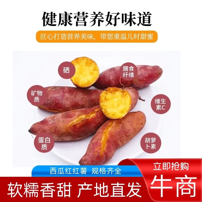 [精品]安徽西瓜红蜜薯大量上市质量保证