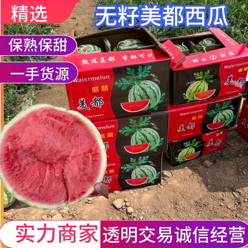 无籽美都麒麟瓜质量有保证大红瓤甜度高需要的老板