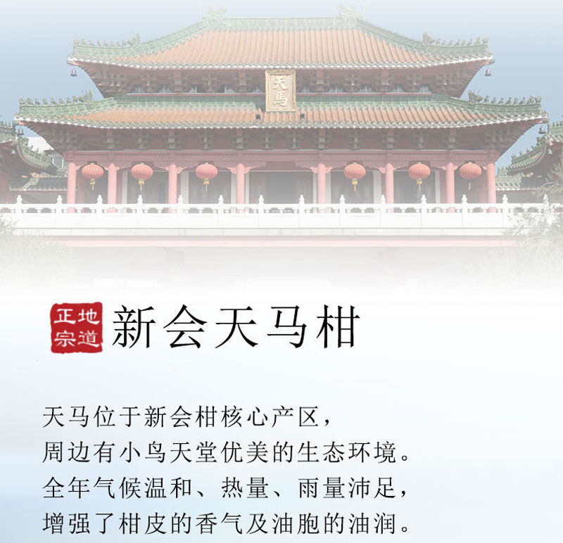 厂家批发十五年天马新会陈皮干老陈皮橘子皮桔子皮泡茶泡水