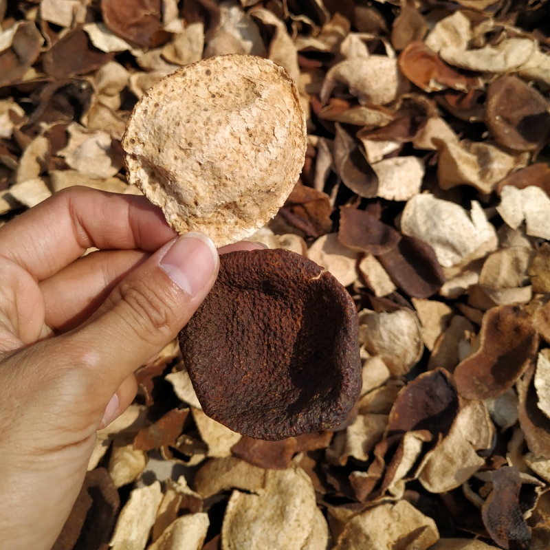 陈皮批发价新会陈皮碎陈皮断皮陈皮角橘子皮老陈皮干
