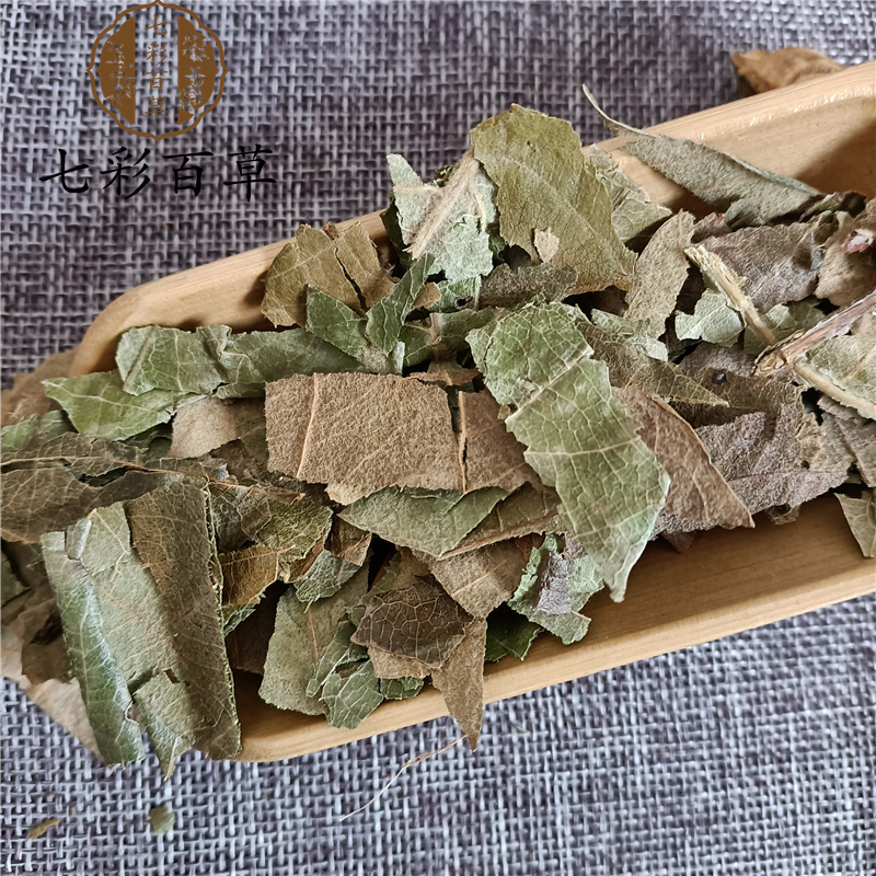 枇杷叶巴叶山东七彩百草中药材批发多种规格产地供应