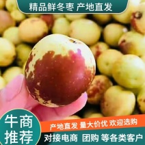 【精选】大荔冬枣鲜枣，电商平台对接社区团购配美团多多团菜