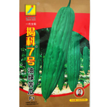 油绿苦瓜种子长绿秋冬肉厚绿苦瓜春夏秋季种四季蔬菜种