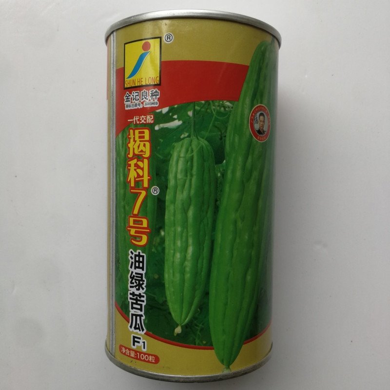油绿苦瓜种子长绿秋冬肉厚绿苦瓜春夏秋季种四季蔬菜种