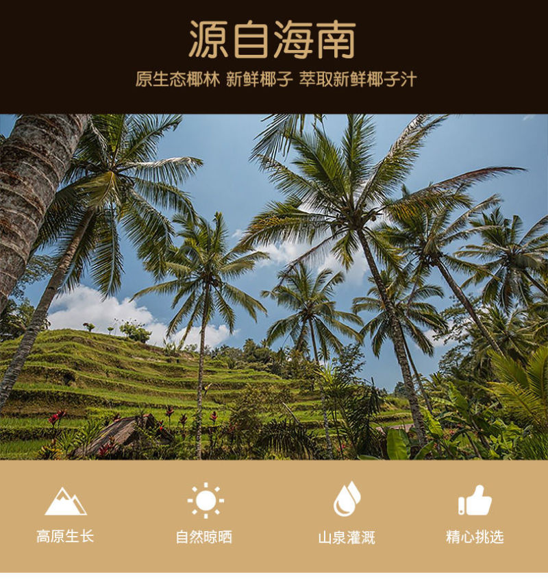 海南咖啡糖500g/200g三亚风味特产浓喜糖果新品批发