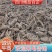 川白芷，无硫选片，各种规格等级，产地直发，质量保证