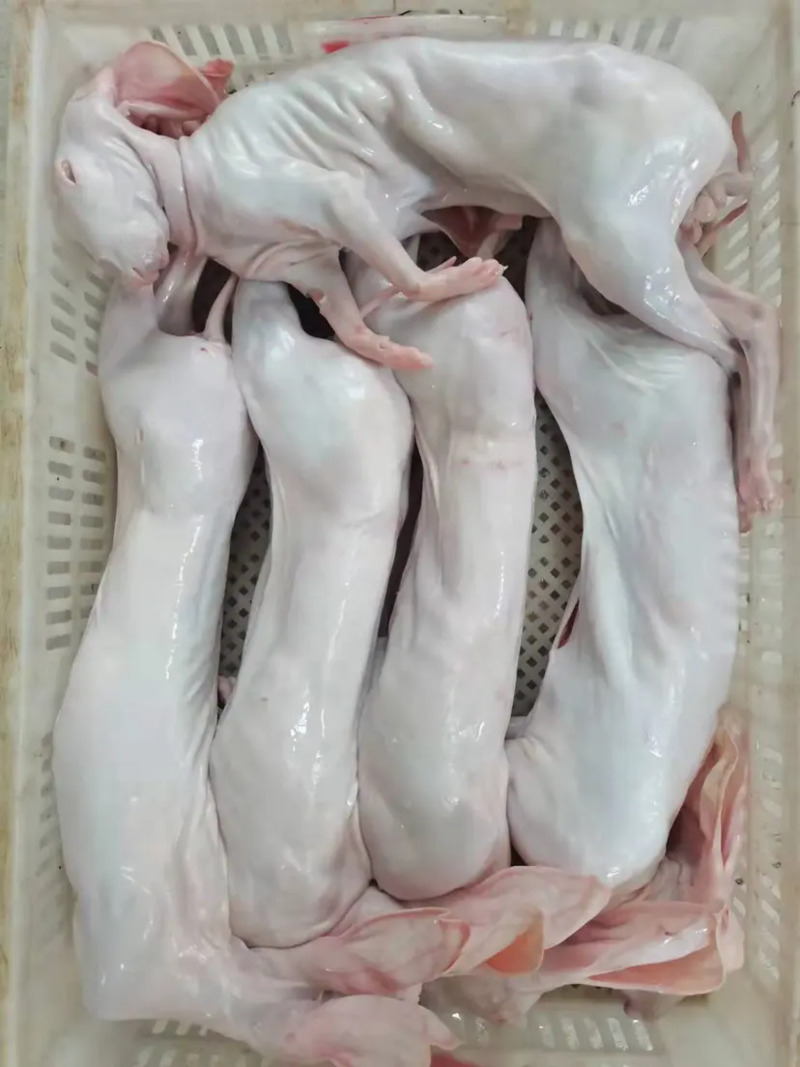 生鲜冷冻带皮兔肉自产自销发货速度，量大从优！