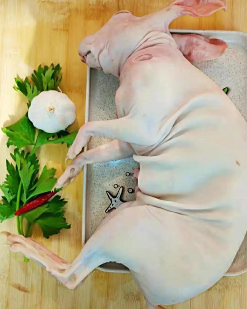 生鲜冷冻带皮兔肉自产自销发货速度，量大从优！