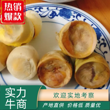毛鸡蛋.半鸡半蛋.活珠子.照蛋.孵化厂直批，欢迎考查。