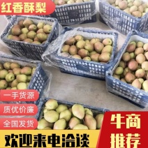 山西运城龙居美玉一抹红晕果库红香酥梨