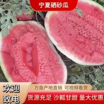 【精品热销】宁夏硒砂瓜石头瓜包熟包甜诚信经营全国发货