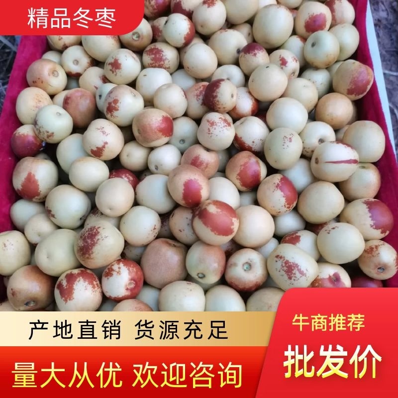 【精选】陕西大荔冬枣一手货源产地直销量大价优欢迎联系