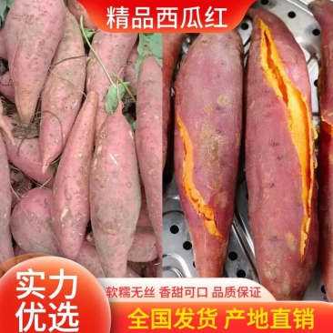 红心蜜薯西瓜红开封沙地蜜薯（电商一件代发）两千平方厂房