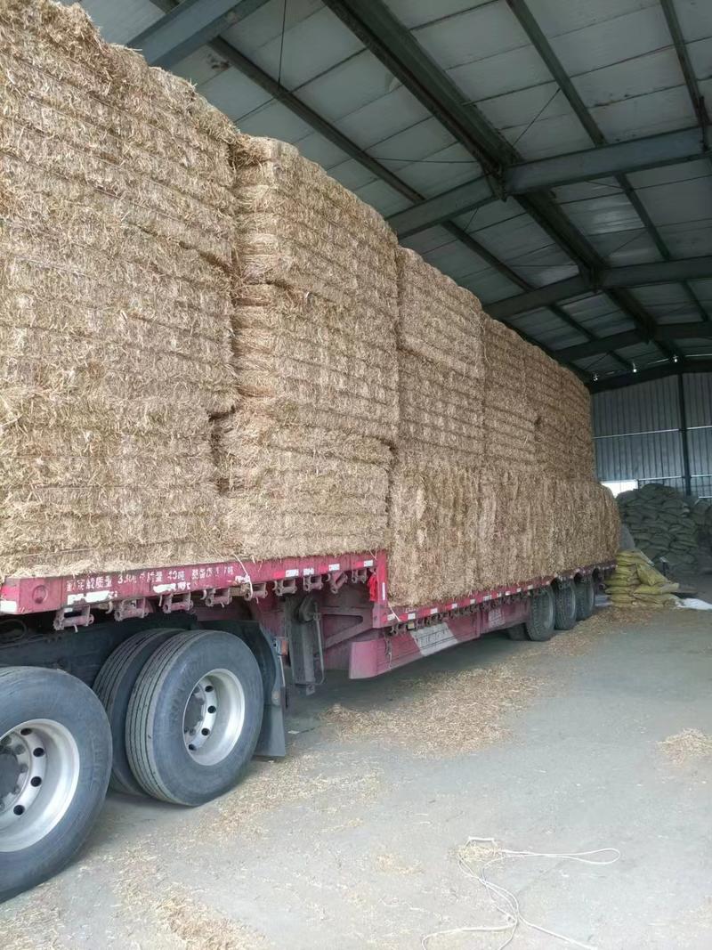 优质小麦秸秆，厂家直发，品质有保障，诚信经营，量大从优