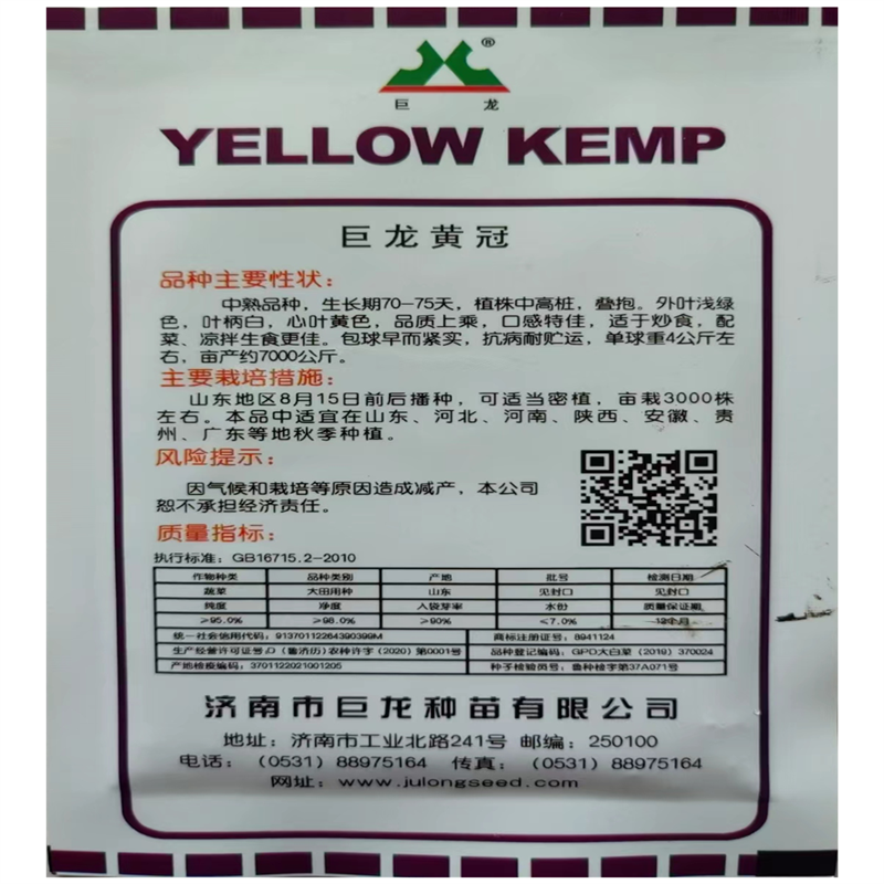 巨龙黄冠黄心大白菜种子高产抗病包心黄芯白菜种子春秋季中熟