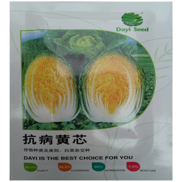 抗病黄芯白菜种子黄心秋播大白菜种子冬储白菜耐寒口感好秋冬