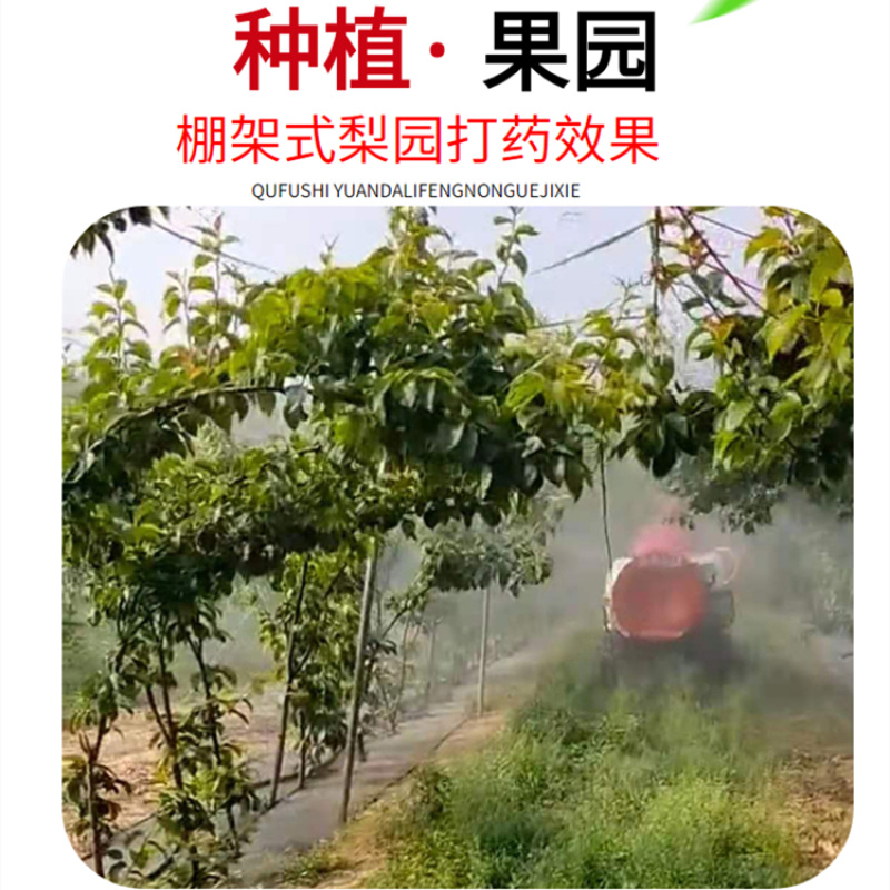 风送式果树打药机农用双动力喷雾机多用途打药拉货车