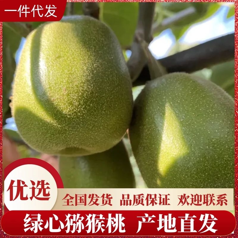 湖南红心猕猴桃产地直发品质保证做电商供应链一件代发