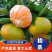 精品蜜橘云南蜜橘新鲜上市现摘现发可视频看货