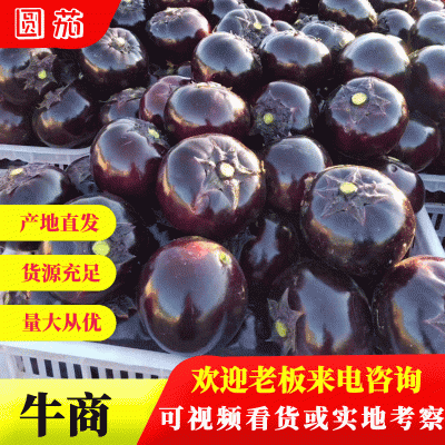 大量有货，社区团购电商，赶集小车市场，量很大